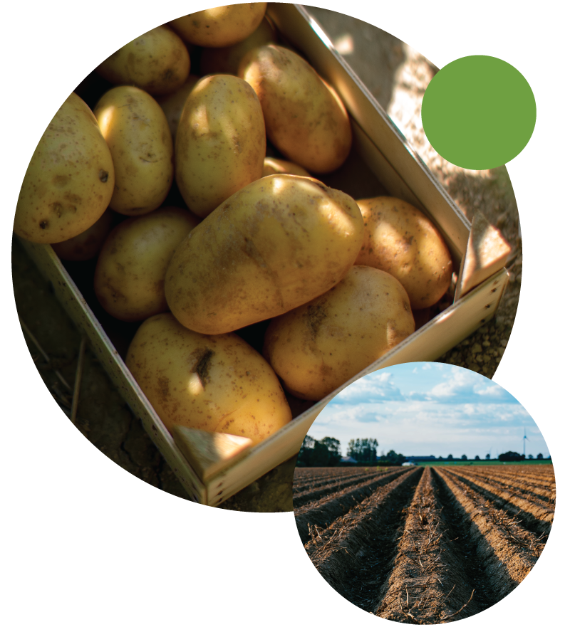 McCain_Image Commitments_Feb2025