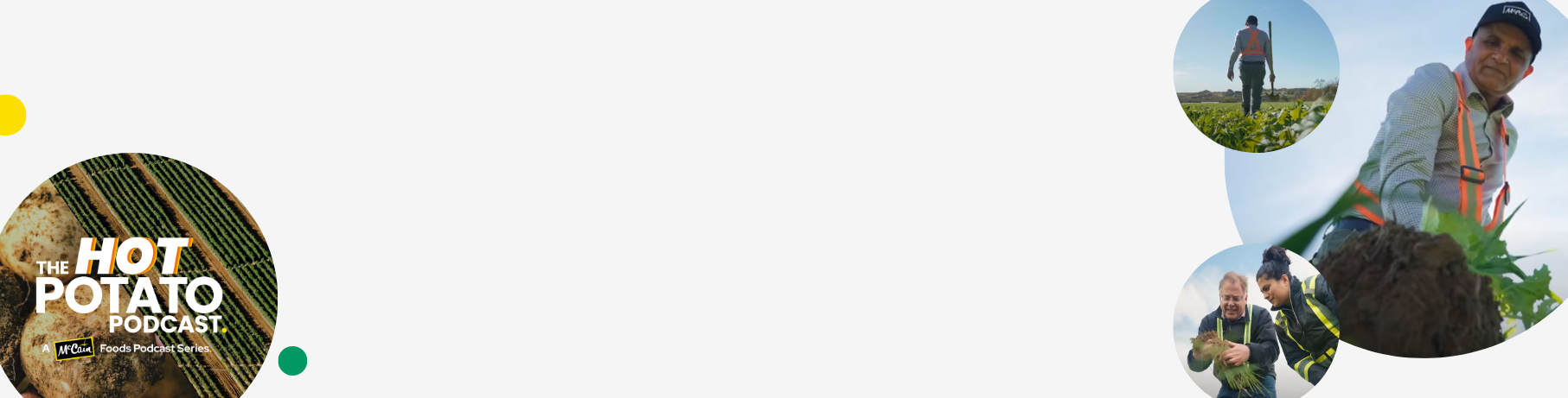 Mccain_sustainability_in_action_d